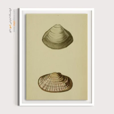 تابلو جانوران دریایی - اسپو دکور