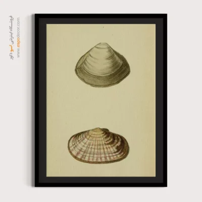 تابلو جانوران دریایی - اسپو دکور