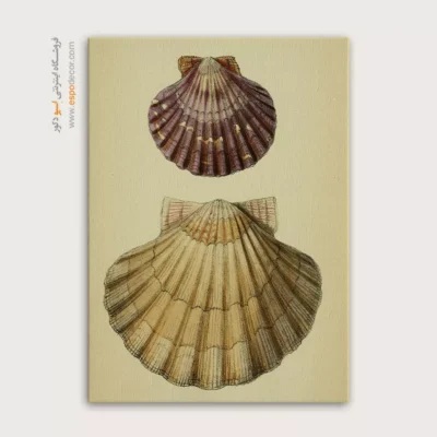 تابلو جانوران دریایی - اسپو دکور