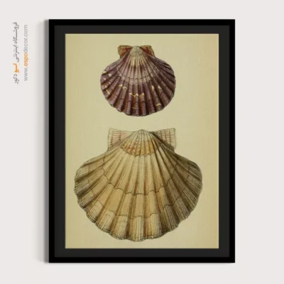 تابلو جانوران دریایی - اسپو دکور