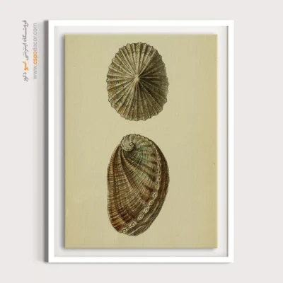 تابلو جانوران دریایی - اسپو دکور