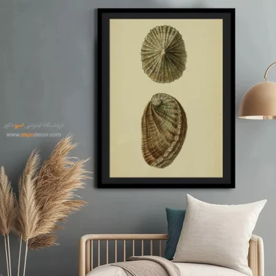 تابلو جانوران دریایی - اسپو دکور