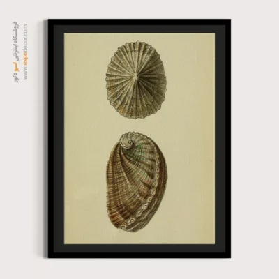 تابلو جانوران دریایی - اسپو دکور