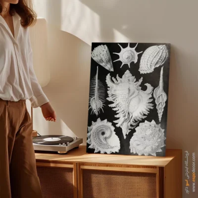 تابلو جانوران دریایی - اسپو دکور