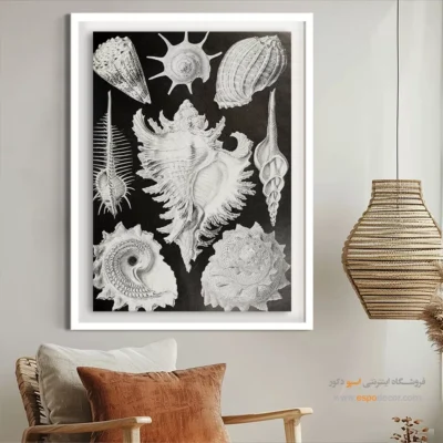 تابلو جانوران دریایی - اسپو دکور