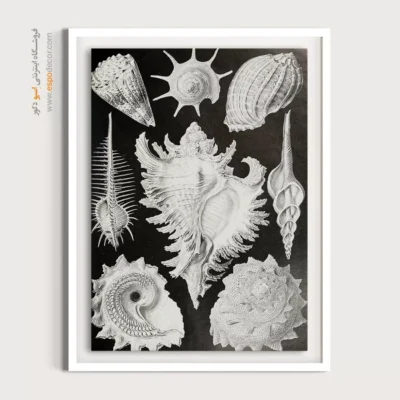 تابلو جانوران دریایی - اسپو دکور