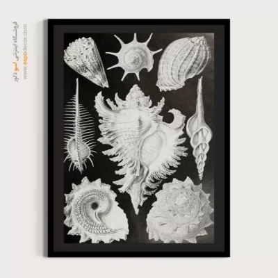 تابلو جانوران دریایی - اسپو دکور