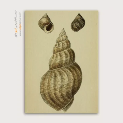 تابلو جانوران دریایی - اسپو دکور