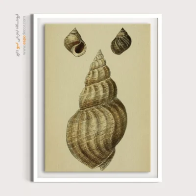 تابلو جانوران دریایی - اسپو دکور