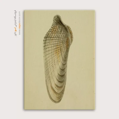 تابلو جانوران دریایی - اسپو دکور