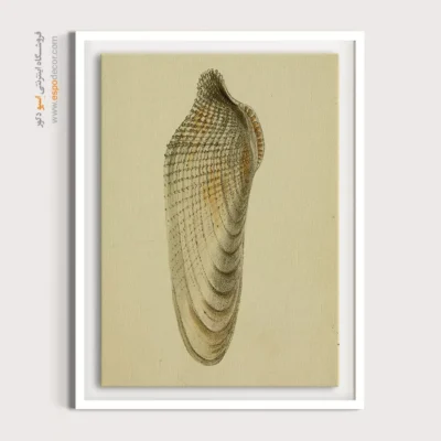 تابلو جانوران دریایی - اسپو دکور