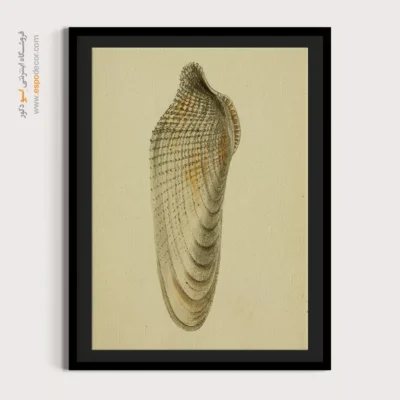 تابلو جانوران دریایی - اسپو دکور