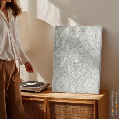 تابلو جانوران دریایی - اسپو دکور