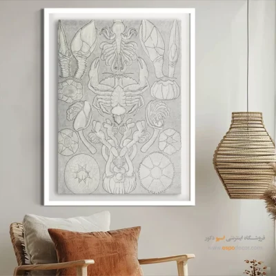 تابلو جانوران دریایی - اسپو دکور