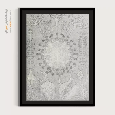 تابلو جانوران دریایی - اسپو دکور