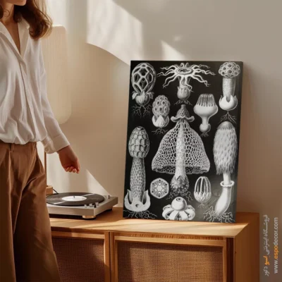 تابلو جانوران دریایی - اسپو دکور