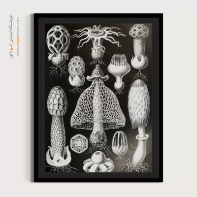 تابلو جانوران دریایی - اسپو دکور