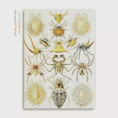 تابلو جانوران دریایی - اسپو دکور