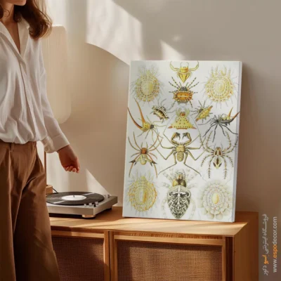 تابلو جانوران دریایی - اسپو دکور