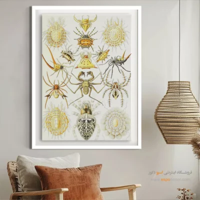 تابلو جانوران دریایی - اسپو دکور