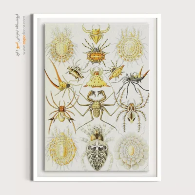 تابلو جانوران دریایی - اسپو دکور