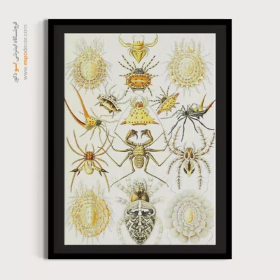 تابلو جانوران دریایی - اسپو دکور