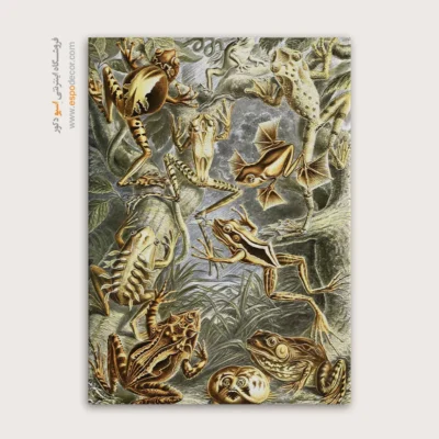 تابلو جانوران دریایی - اسپو دکور