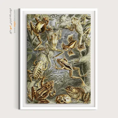 تابلو جانوران دریایی - اسپو دکور