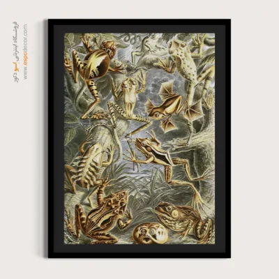 تابلو جانوران دریایی - اسپو دکور