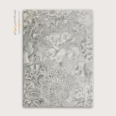 تابلو جانوران دریایی - اسپو دکور