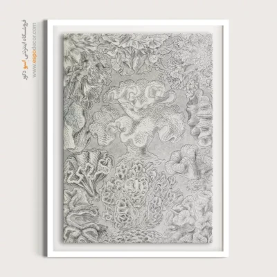 تابلو جانوران دریایی - اسپو دکور