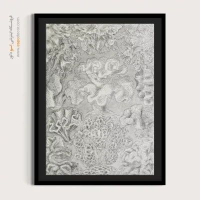 تابلو جانوران دریایی - اسپو دکور