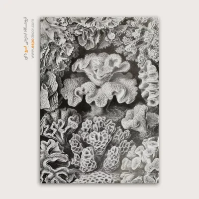 تابلو جانوران دریایی - اسپو دکور