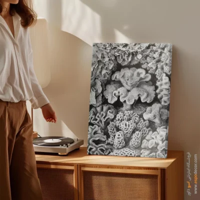 تابلو جانوران دریایی - اسپو دکور