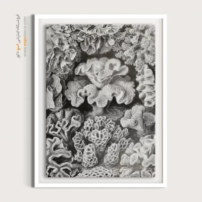 تابلو جانوران دریایی - اسپو دکور