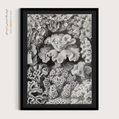 تابلو جانوران دریایی - اسپو دکور