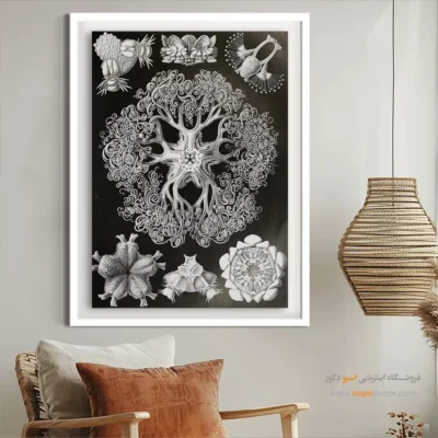 تابلو جانوران دریایی - اسپو دکور