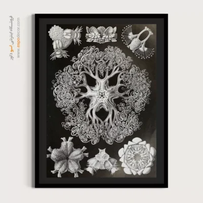 تابلو جانوران دریایی - اسپو دکور