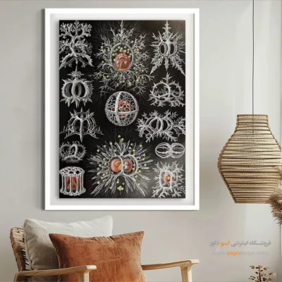 تابلو جانوران دریایی - اسپو دکور