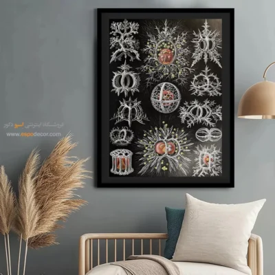 تابلو جانوران دریایی - اسپو دکور