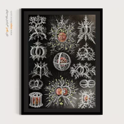 تابلو جانوران دریایی - اسپو دکور