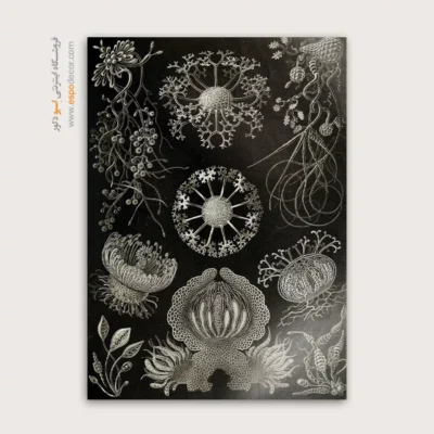 تابلو جانوران دریایی - اسپو دکور