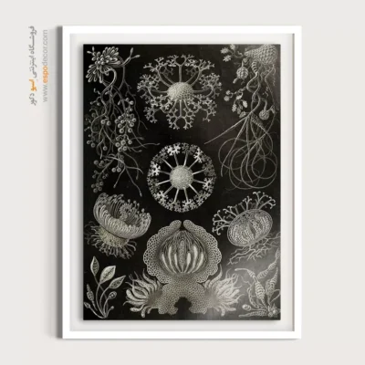 تابلو جانوران دریایی - اسپو دکور