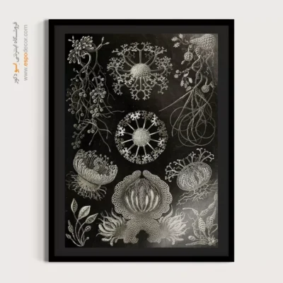 تابلو جانوران دریایی - اسپو دکور