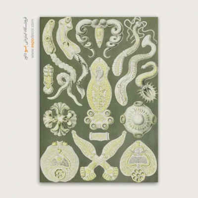 تابلو جانوران دریایی - اسپو دکور