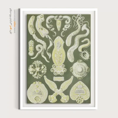 تابلو جانوران دریایی - اسپو دکور