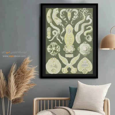 تابلو جانوران دریایی - اسپو دکور