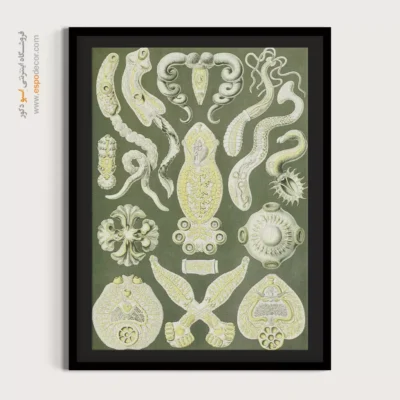 تابلو جانوران دریایی - اسپو دکور