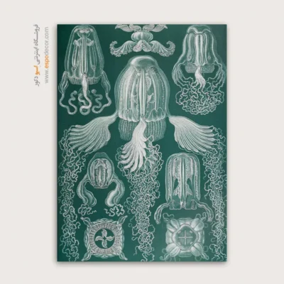 تابلو جانوران دریایی - اسپو دکور