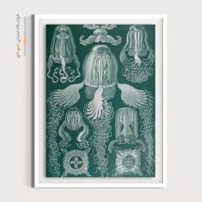 تابلو جانوران دریایی - اسپو دکور